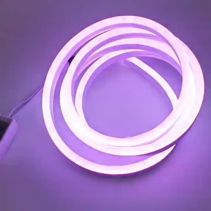 RGB Neon Flex AC 220V 240V 10x18mm Dimmable - ATOM LED