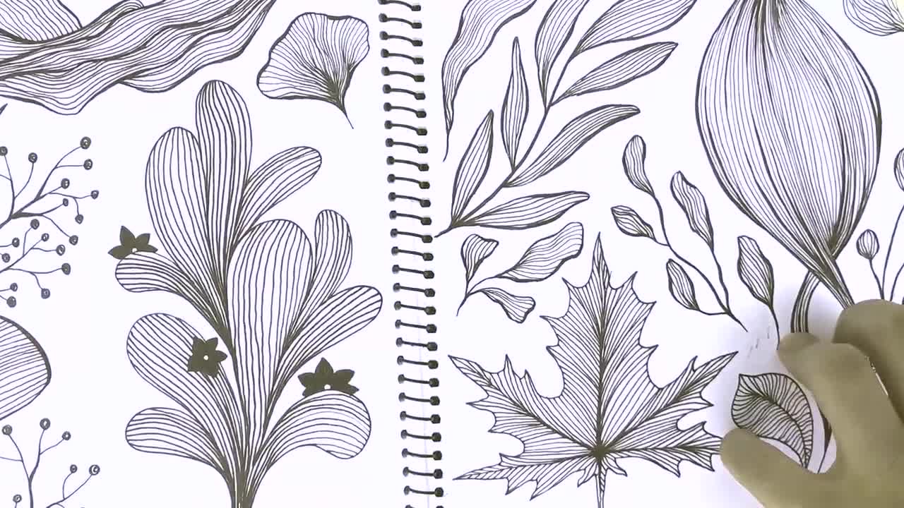 Clipart de arte floral: coleção moderna em preto e dourado (download digital) video poster