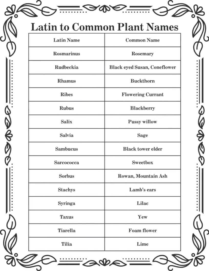 Botanical Dictionary: Latin Plant Names, English Plant Name Index  (Printable PDF)