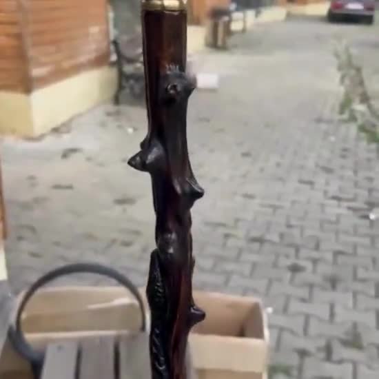 Cobra snake patterned walking stick on natural body video poster