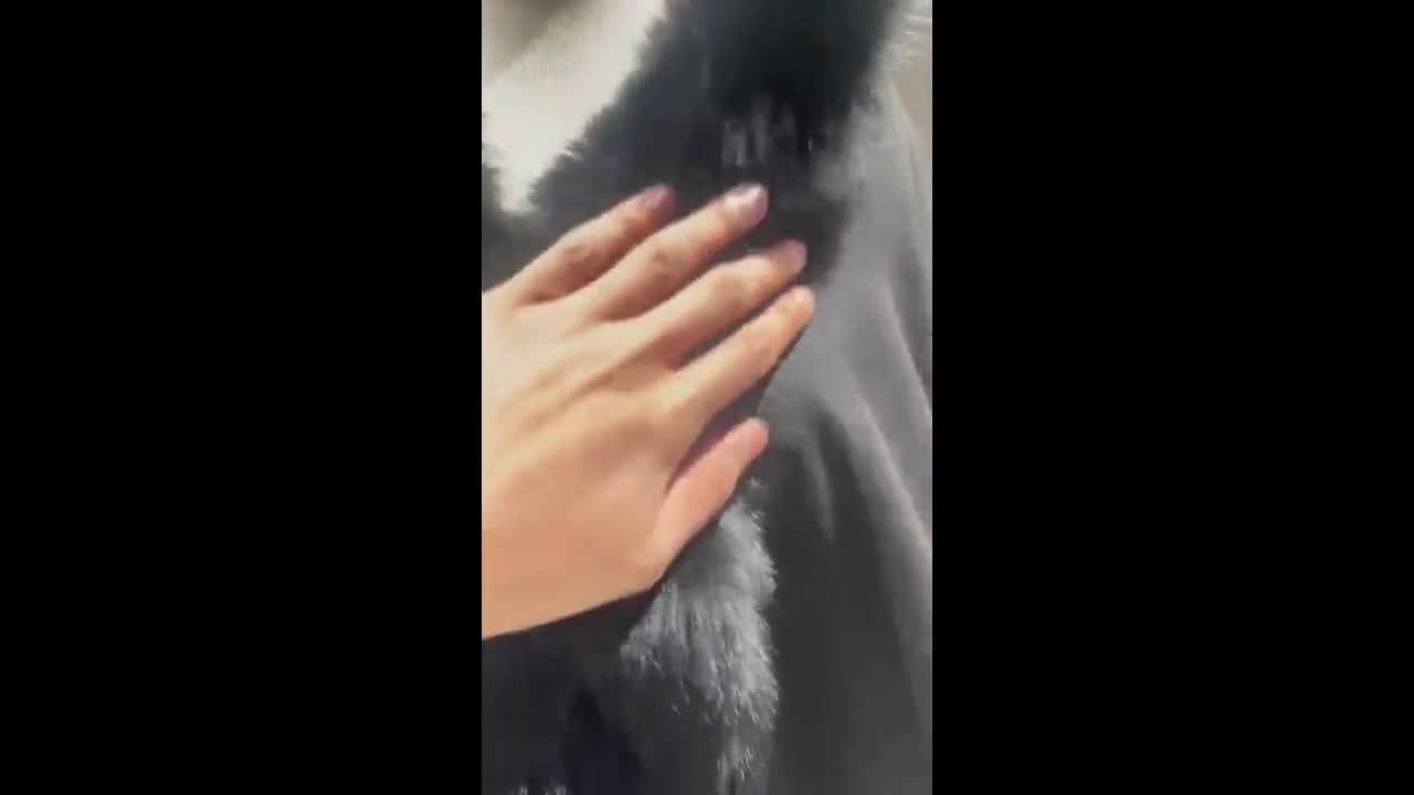 Capa de cachemira con ribete de piel de zorro: poncho con capucha, capa negra video poster