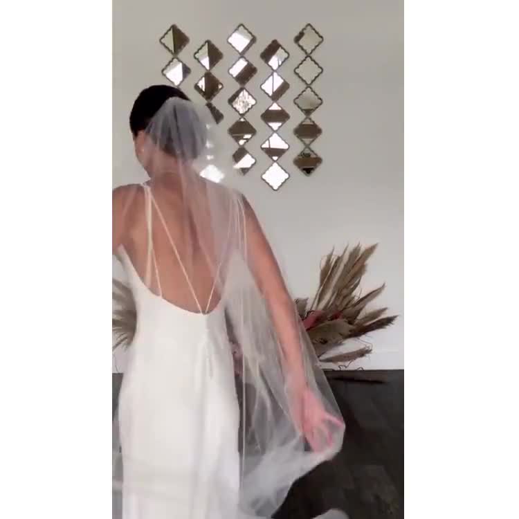 Alexis - one layer cathedral length veil with scattered pearls & crystals