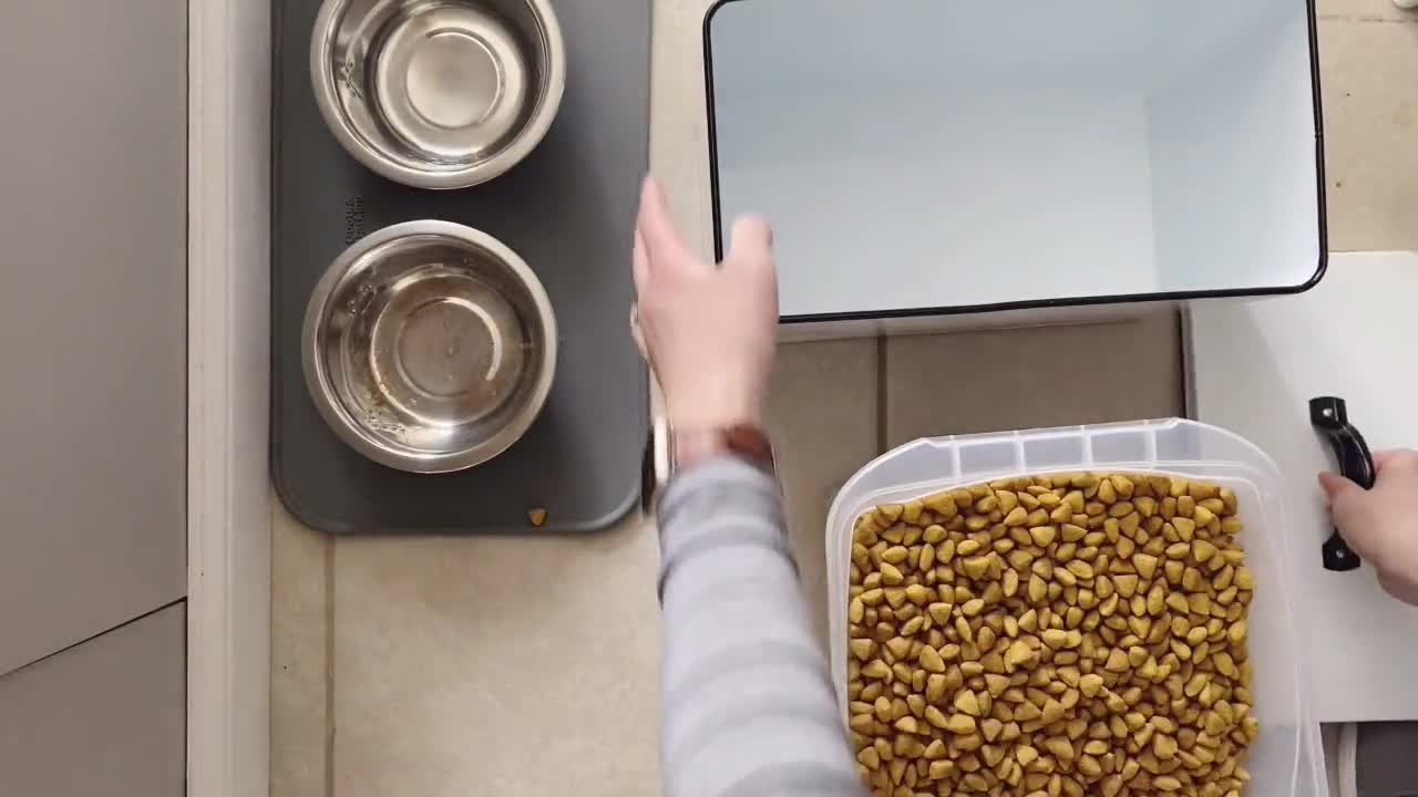 https://v.etsystatic.com/video/upload/q_auto/Amazon_Ad_-_Dog_Food_Container_2-18-21_gvxvep.jpg