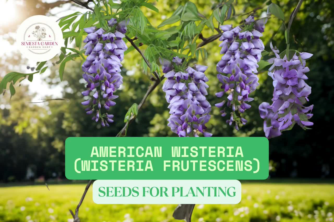 pflanzendnger fr zimmerpflanzen Zimmerpflanzen Blattdnger Flssigdnger von Flora Boost fr gesunde  Pflanzenpflege