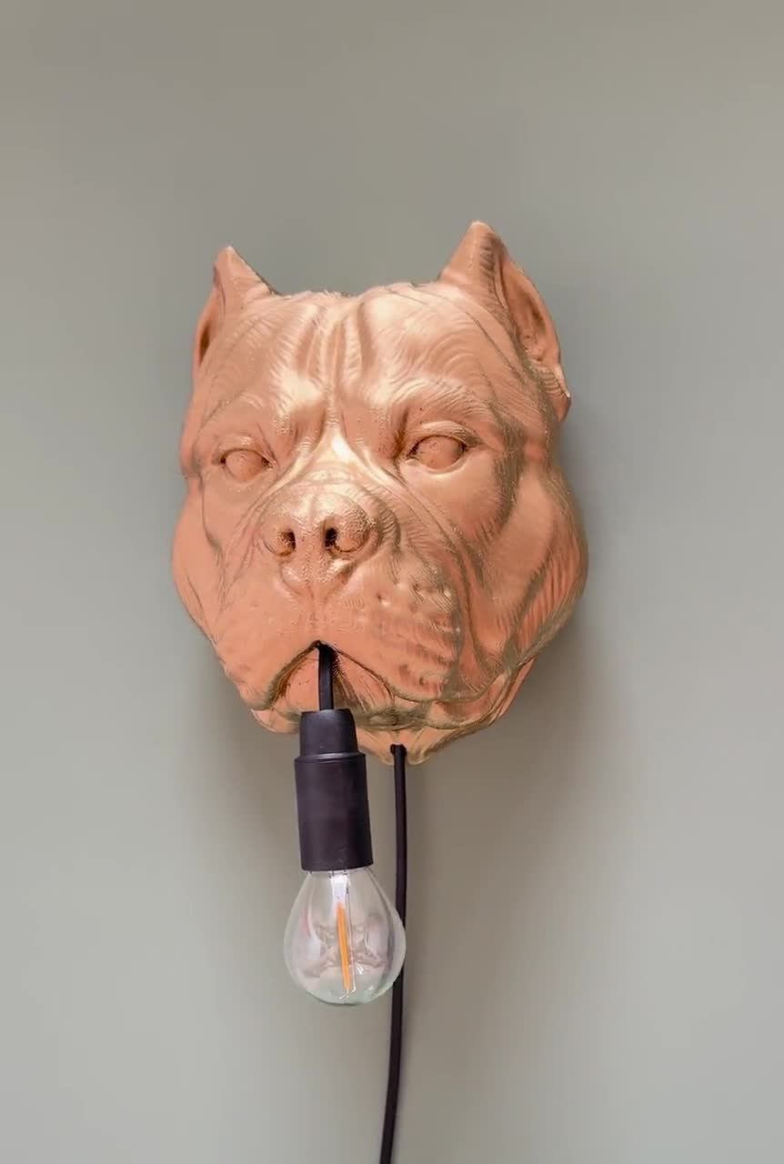 American Bully - Wikipedia, image size:862x1280