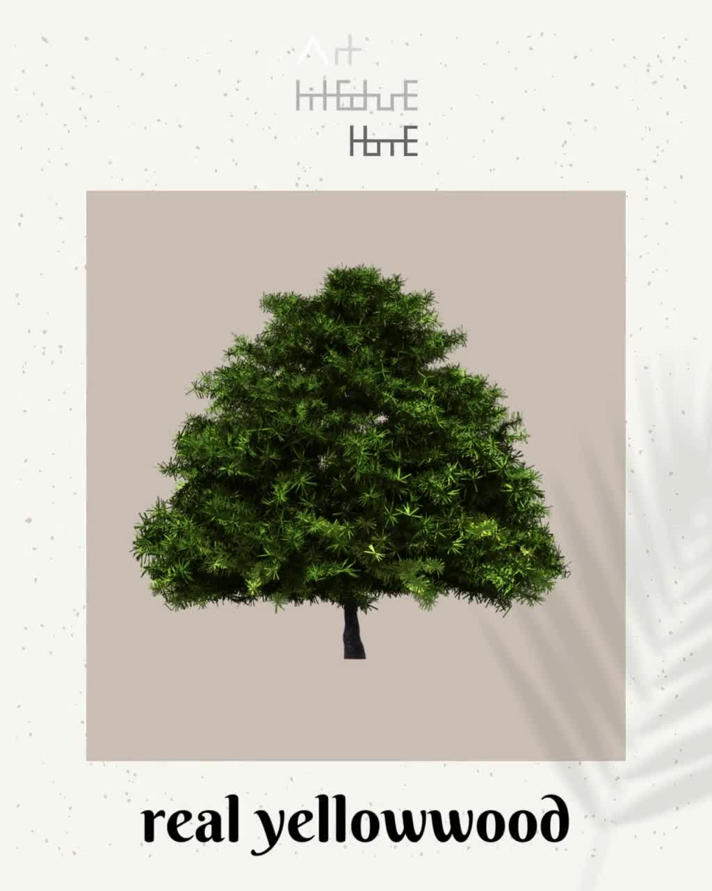 Vector sketch illustration of Live Oak. Black silhouette of evergreen tree  isolated on white background. Official state tree of Georgia.::  tasmeemME.com