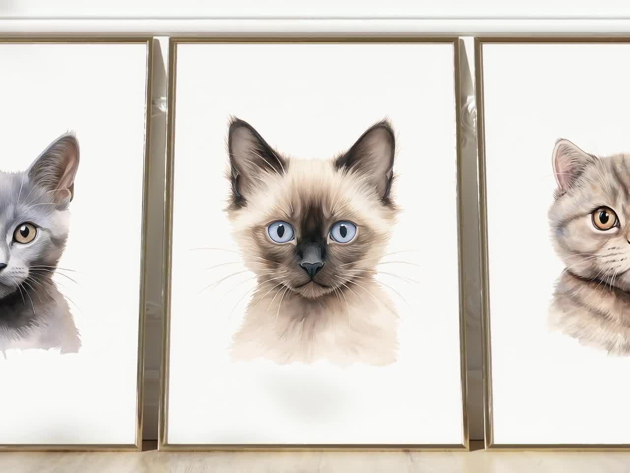 Set 4 X Gravur Kunst A5 Sete Katze / Kätzchen, / Welpen & Stute