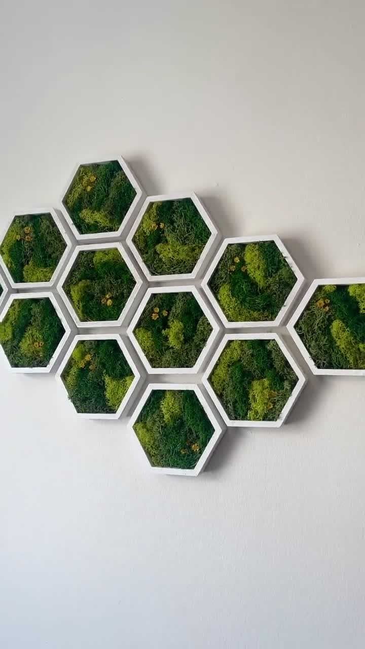 Wall moss art, Wooden honeycombs, Vertical garden, Preserved moss, Living  moss