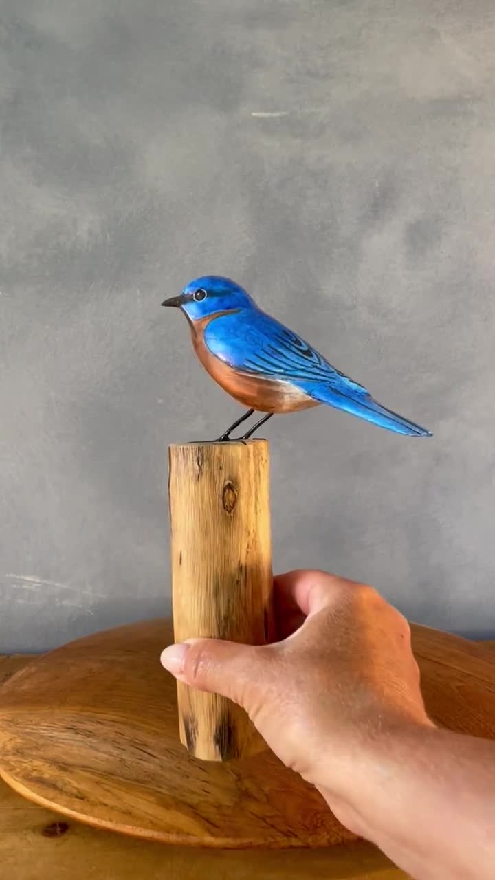 ち*い様 ドールハウス　blue BIRD 7種類一式 ち*い様 ドールハウス blue BIRD 7種類一式 - メルカリ
