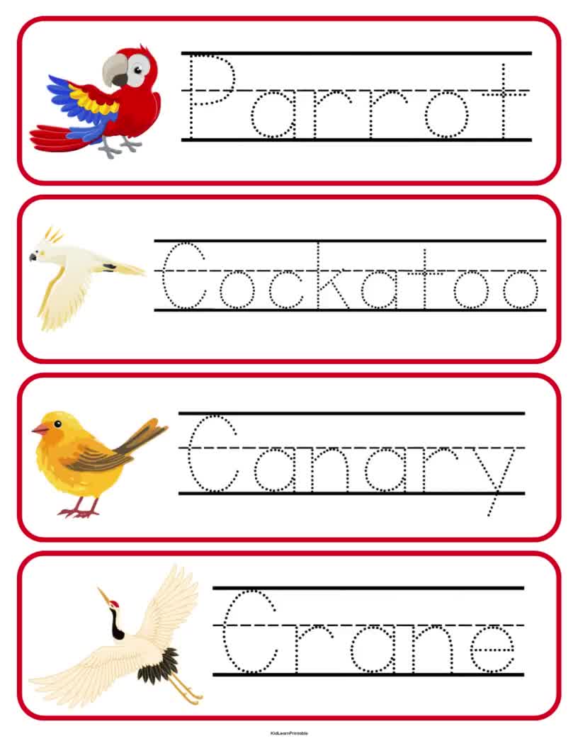 BIRDS' WORDS WALL BIRD / ICCHIN XL BB④ Bird Birds Word Wall by