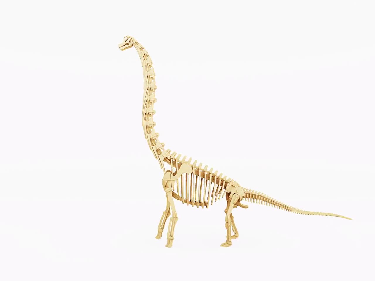 レーザーカット用のブラキオサウルスの骨格 .dxf デジタル ファイル