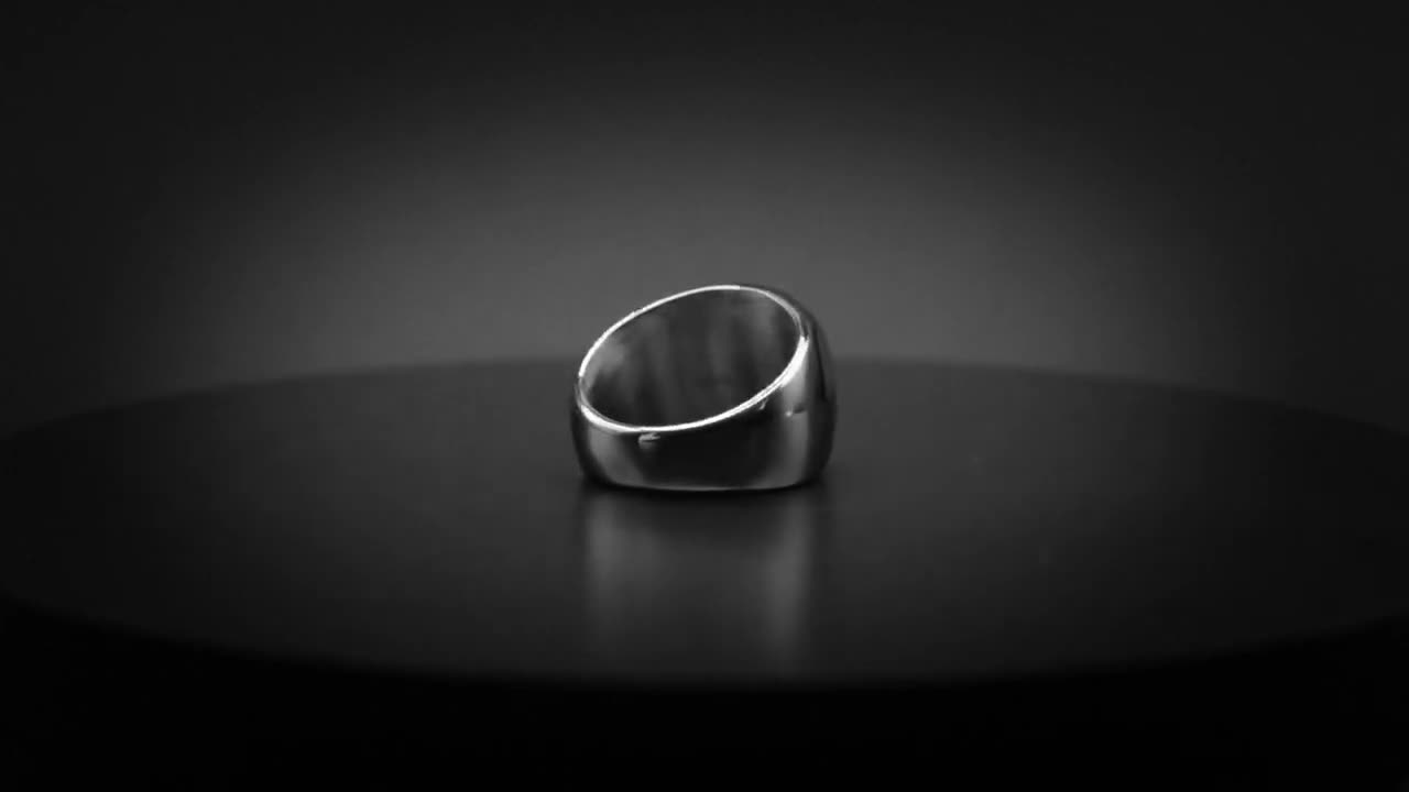 Bitcoin Signet Ring | Stainless Steel Crypto Jewelry