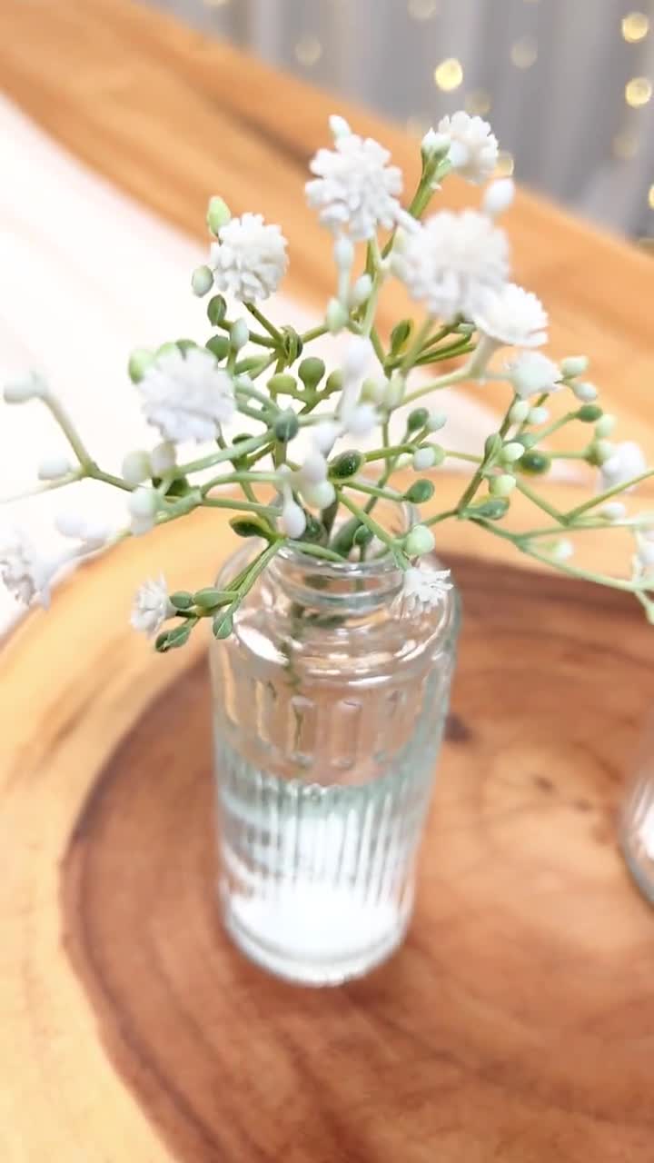 Baby's Breath Floral Arrangement in Vase (Set of 10) Primrue