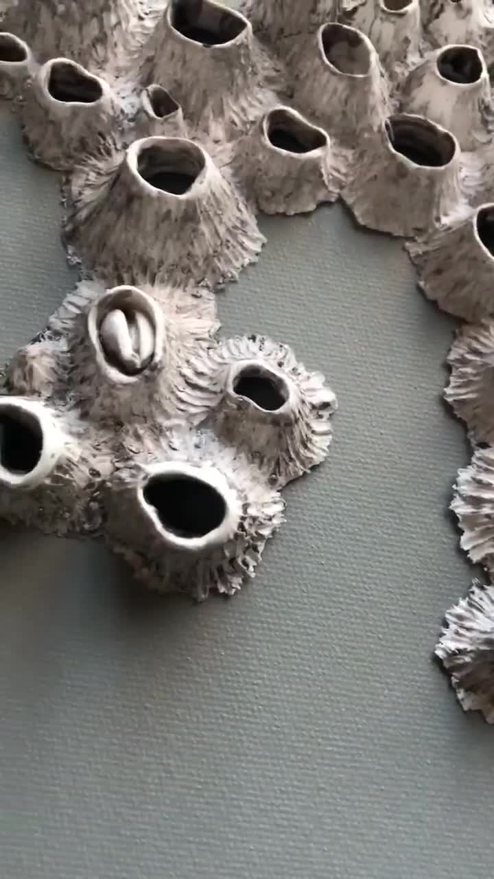 Escultura de pared de arcilla de percebes: decoración costera para casa de playa video poster