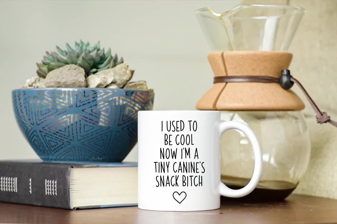 I Used To Be Cool Now Im A Tiny Persons Snack Bitch Mug, Funny Sarcastic Mom  Gift, Mug For Mom, Mothers Day Gift, Boy Mom, Mom Tribe,Momlife