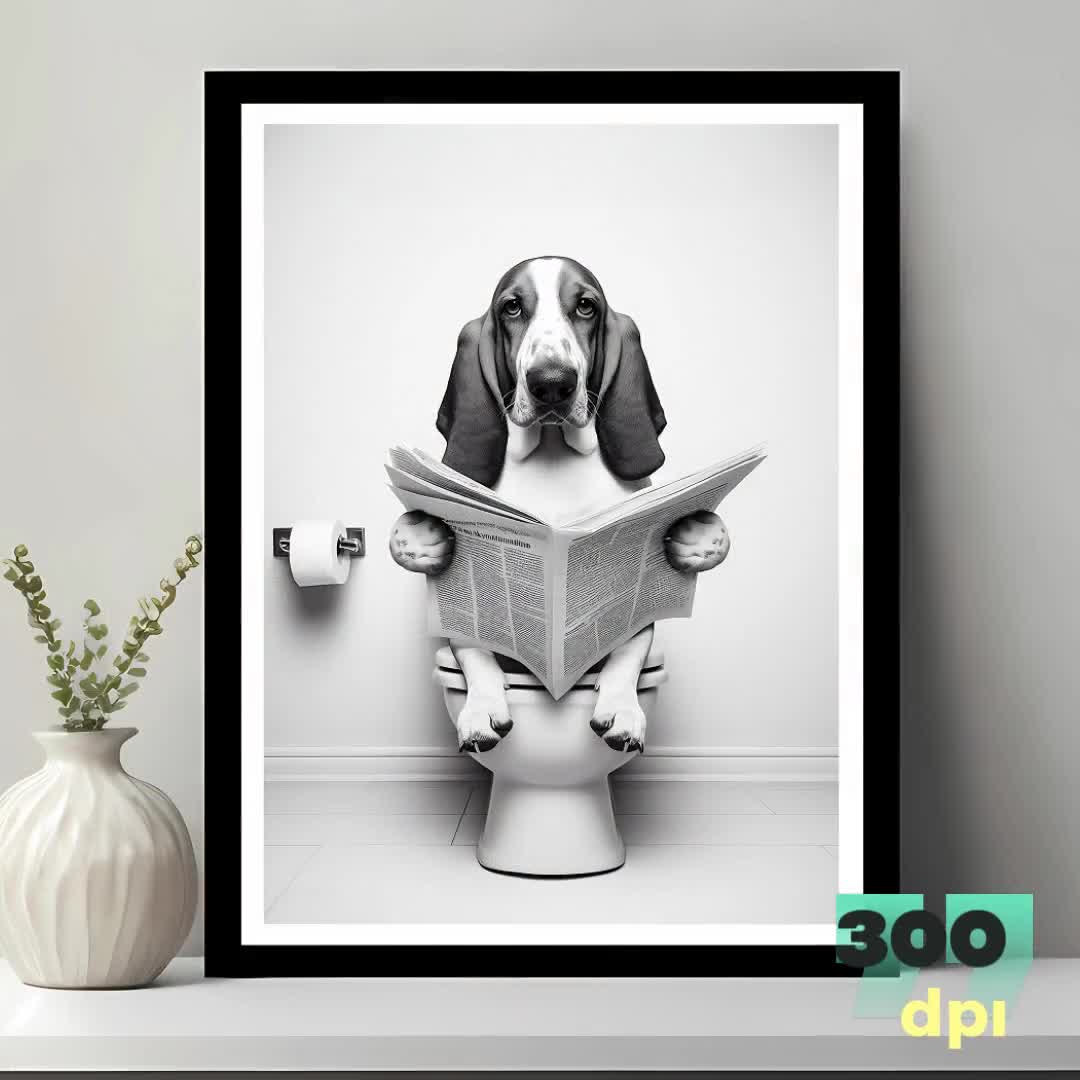 Funny basset hound videos top