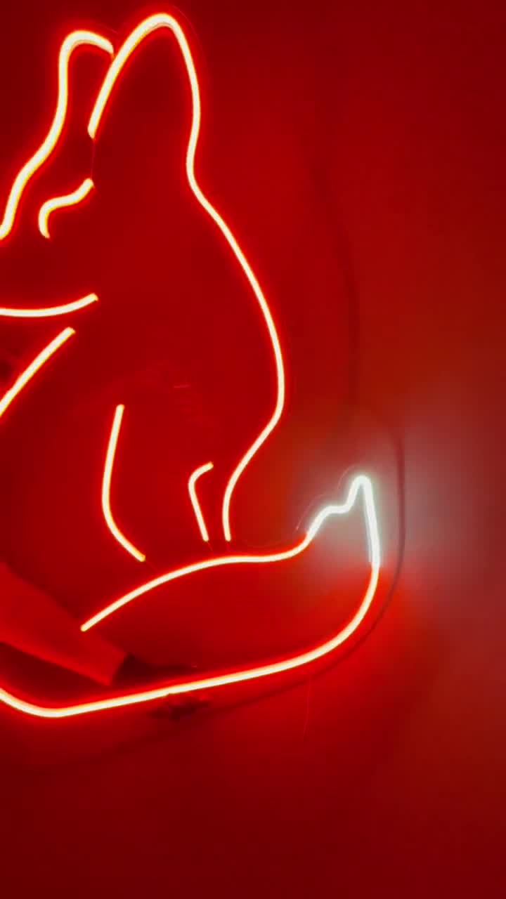 Fox deals neon sign