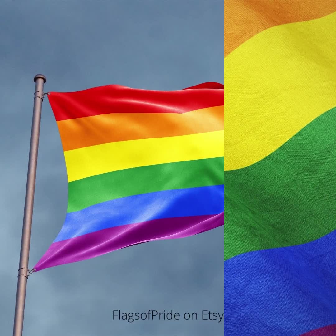 Complete Guide to LGBTQ Flags  Bandeira lgbt, Imagens do google, Lgbt