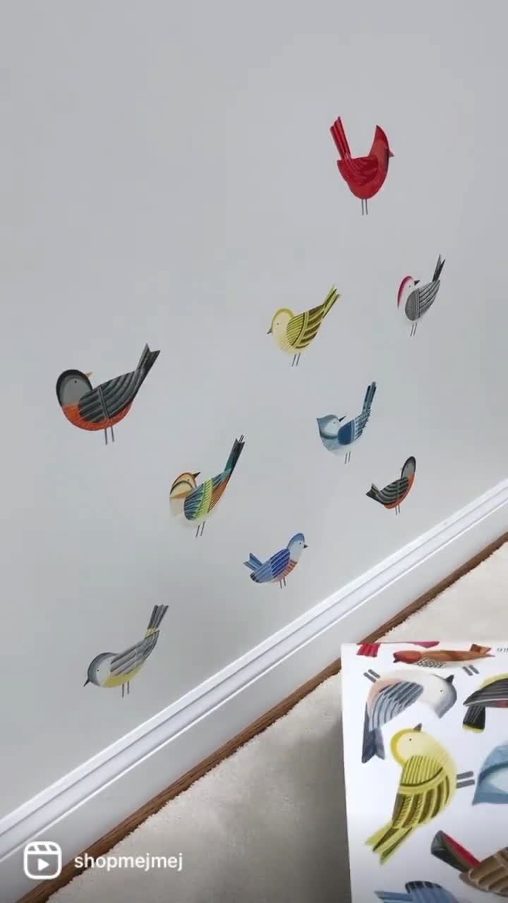 Adesivi murali per grandi uccelli esotici set -  Italia