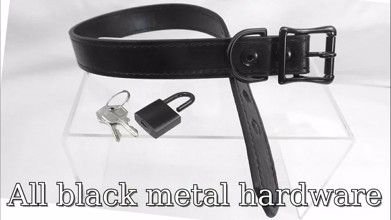 Locking Collar Black buckle collar locking slave collar mature submissive  collar bdsm collar fetish collar bondage collar pinchthemuse