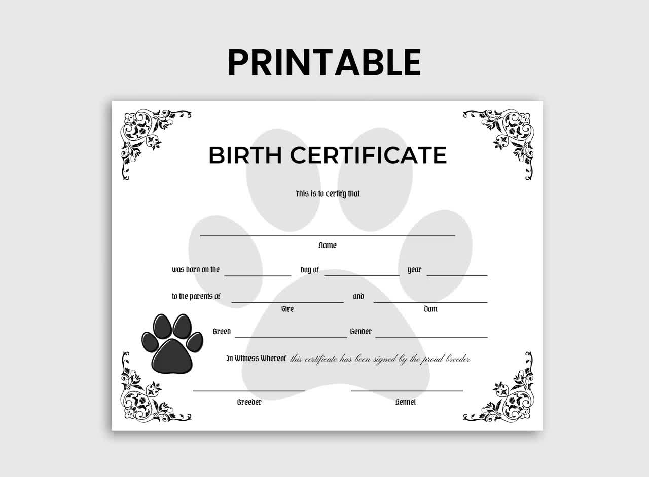 Puppy Birth Certificate Black, Dog Breeder, Dog Certificate, New Puppy, Pet Certificate, Dog Birth Certificate, Dog Owner, Dog Mom, Dog Dad - Etsy puppy-birth-certificate-black-dog-breeder-dog-certificate-new-puppy-pet-certificate-dog-birth-certificate-dog-owner-dog-mom-dog-dad-etsy