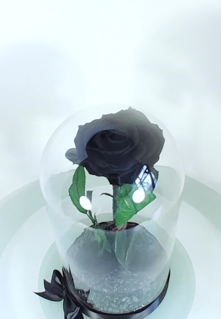 Rosa Nera Con Luci LED In Cupola Di Vetro Su Base Legno - Decorazione Luminosa Per Matrimoni, Feste E Camera, Blu