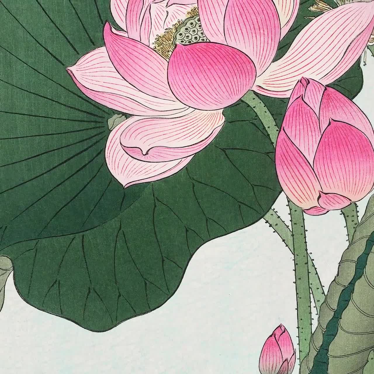 Blooming Lotus Flowers Japanese Fine Art Print | Home Decor - Etsy