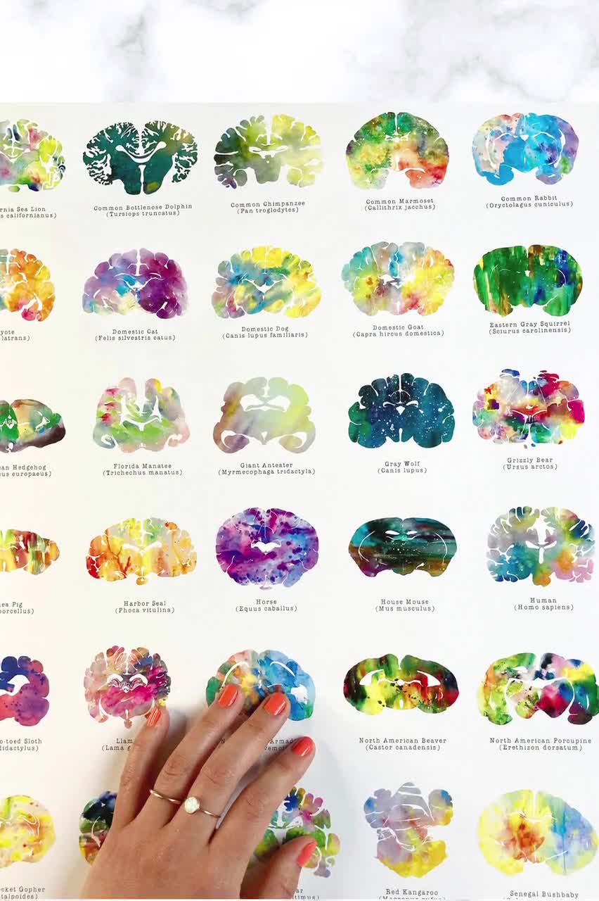 About - Elorri Charriton, image size:852x1280