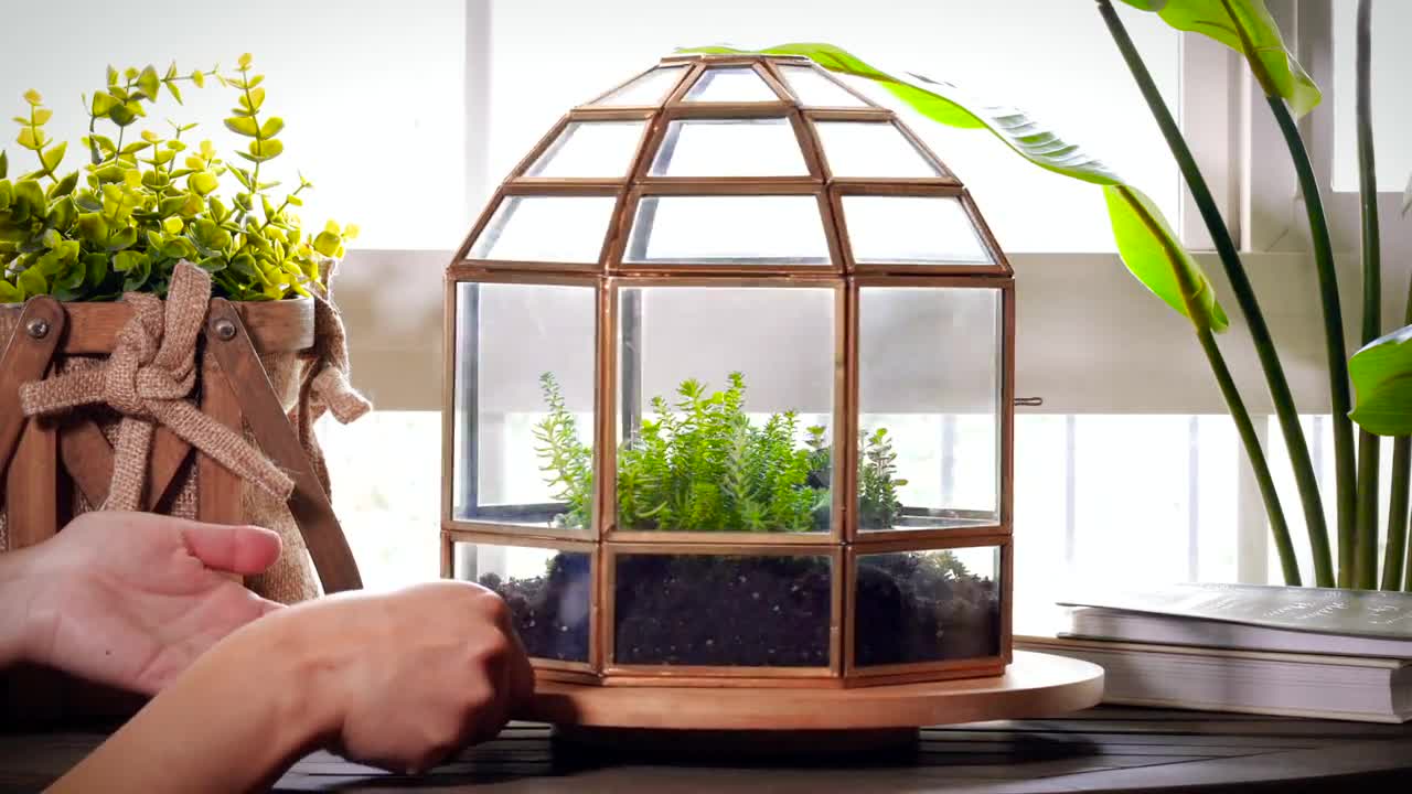 THE Kit DIY Terrarium Kit All You Need is the Container 