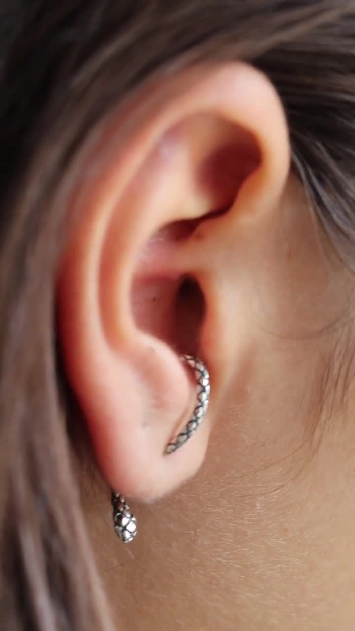 Orecchini Pendenti Serpente Donna In Acciaio Inossidabile - Design Punk Vintage, Gioielli A Goccia Con Serpente Animale, Regalo Originale Per Amiche E Ragazze