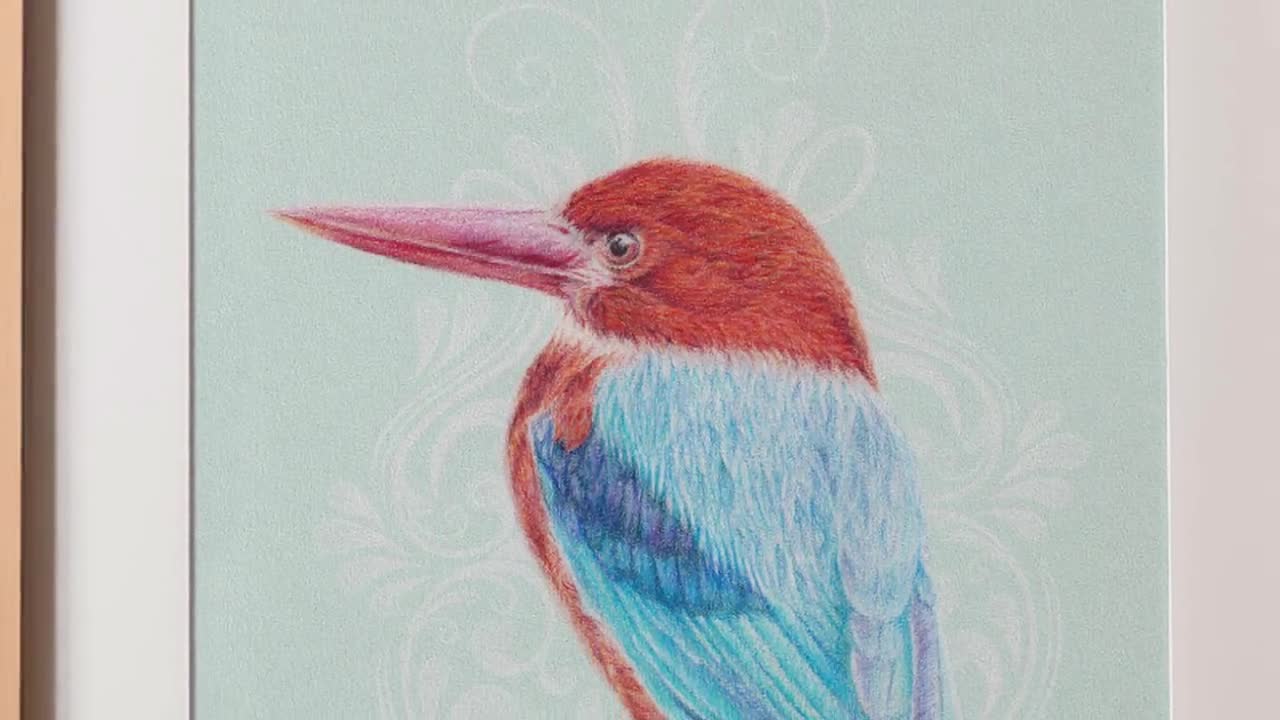 X Rated Pencil Drawings Colored Pencil Review: Non Photo Blue Pencils