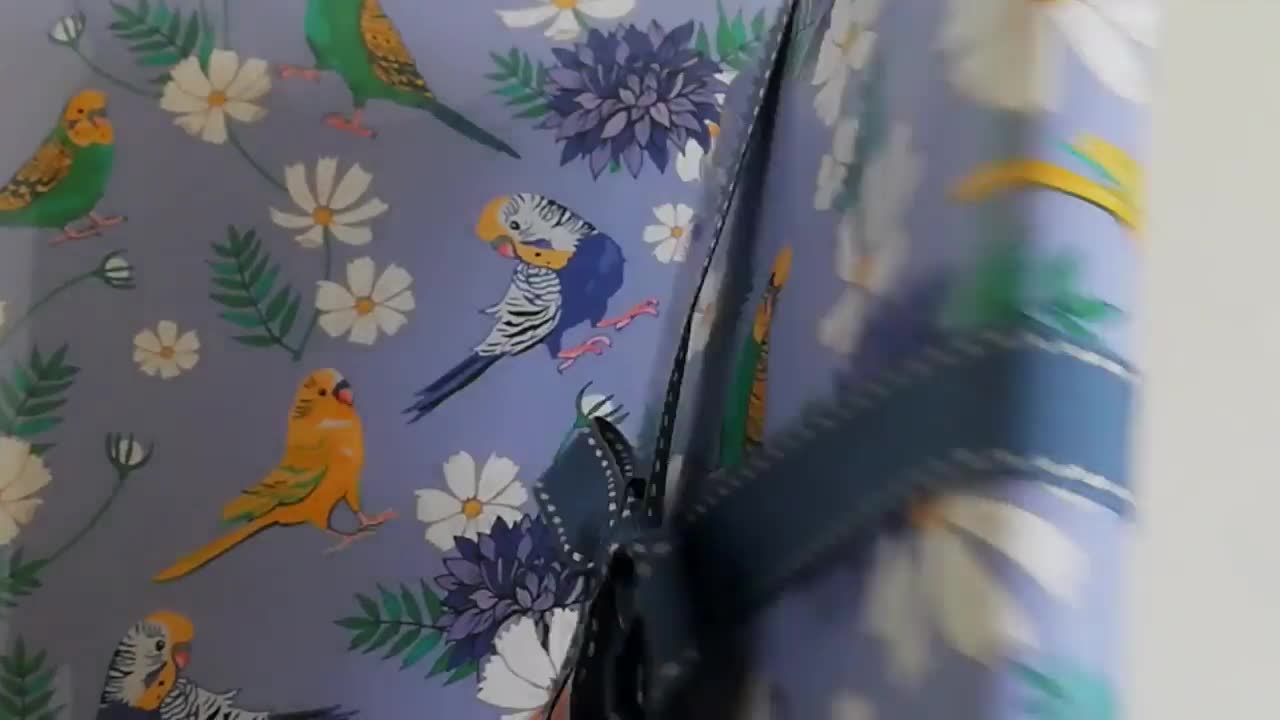 https://v.etsystatic.com/video/upload/q_auto/BudgieWrapEtsy_agykek.jpg