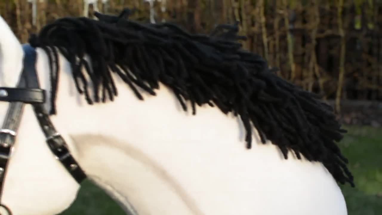 送料税込【The Horse】本革☆Matte Black/White Face/Tanレザー The Horse USA