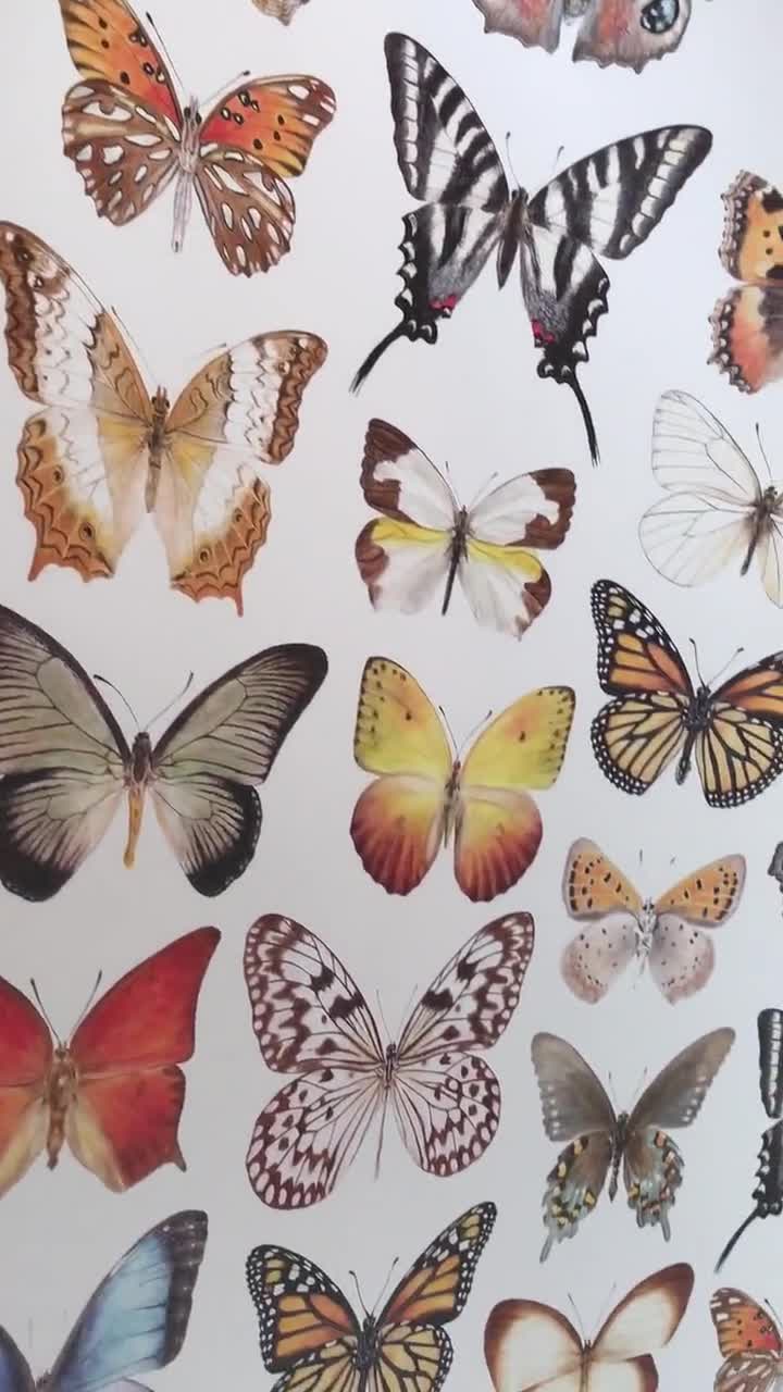 Butterfly Wrapping Paper, Pretty Wrapping Paper, Butterfly Gift Wrap,  Nature Wrapping Paper, Wild Flowers Wrapping Paper UK 1 