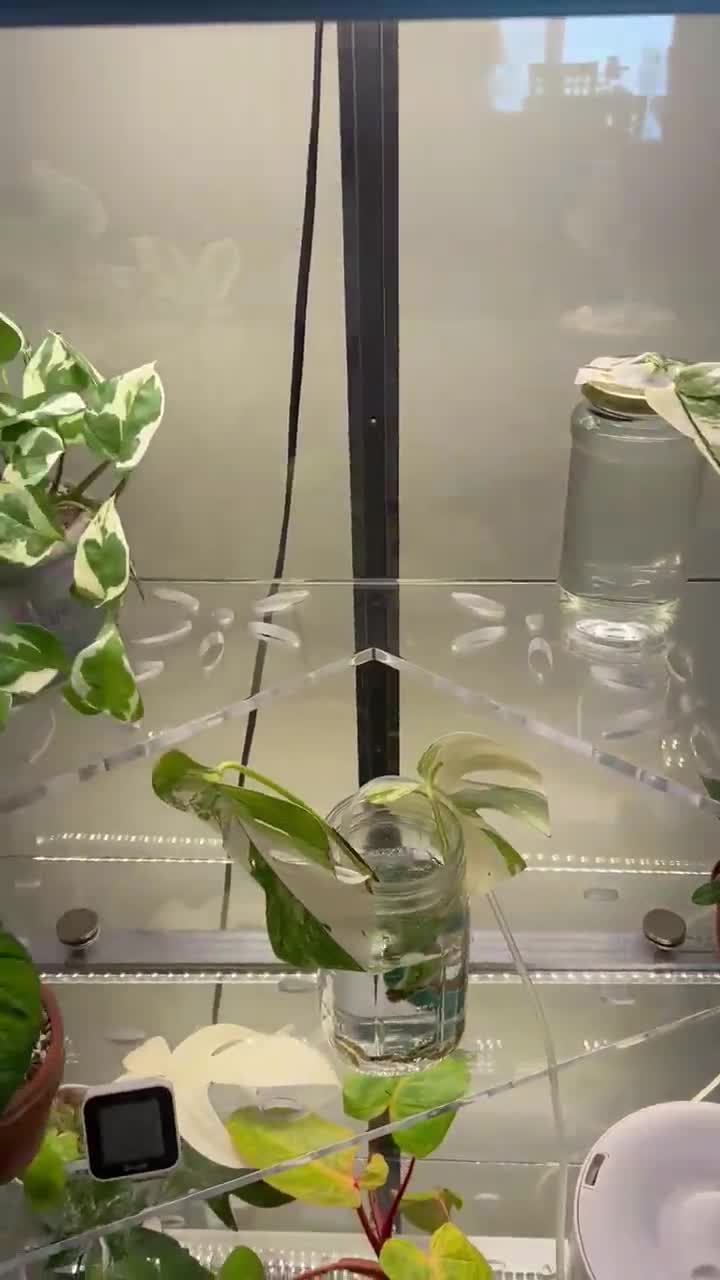 8-Quart Digital Air Fryer