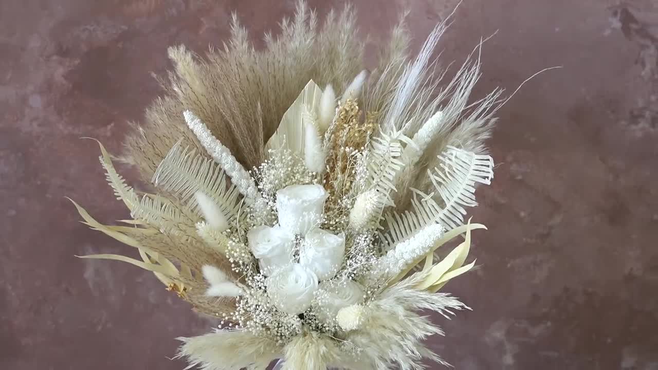 Erba naturale secca di Pampas, Phragmites Communis, Reed pianta, Nozze  fiore mazzo decorazione domestica - Cina Pampas Grass e decorazione di erba  di Pampas prezzo