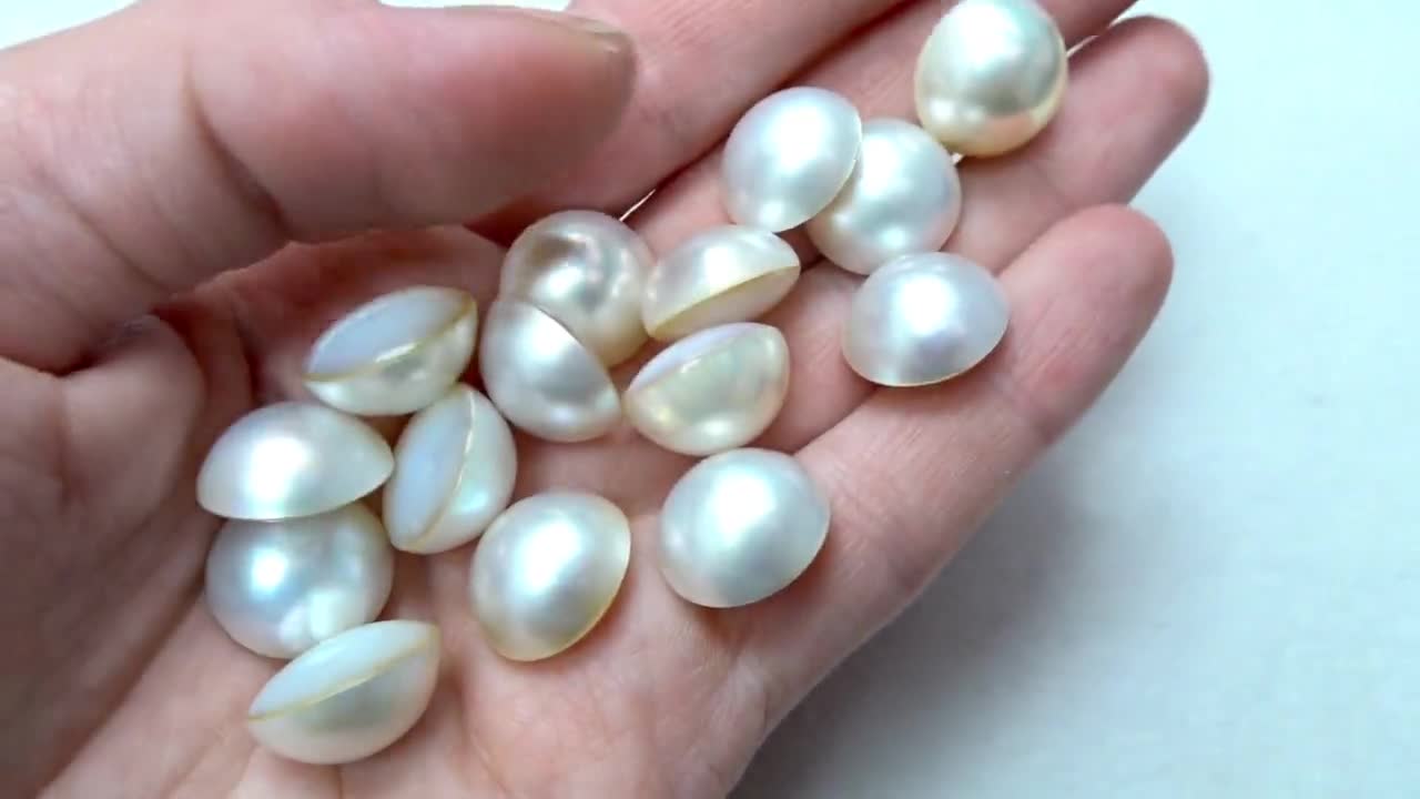 offen scallop pearls pattern オッフェン Scallop Oyster Individually Wrapped With 8-12mm Edison Pearl