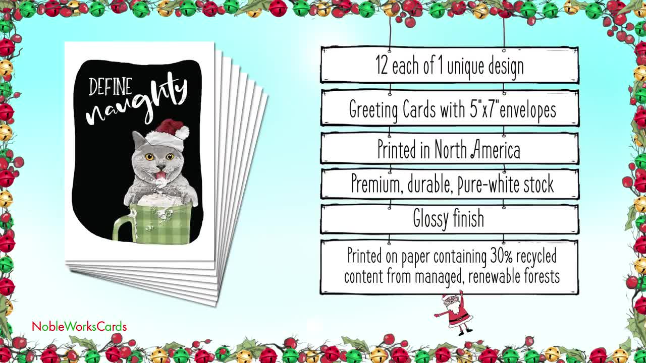 12 Hysterical Christmas Greeting Cards Bulk Pack with 5 x 7 Inch Envelopes  (1 Design12 Each) Define Naughty