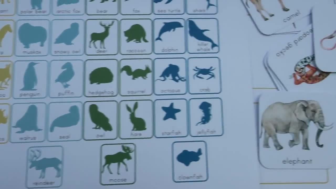 Animal habitats sorting activity and chart. Montessori preschool and  kindergarten printable.