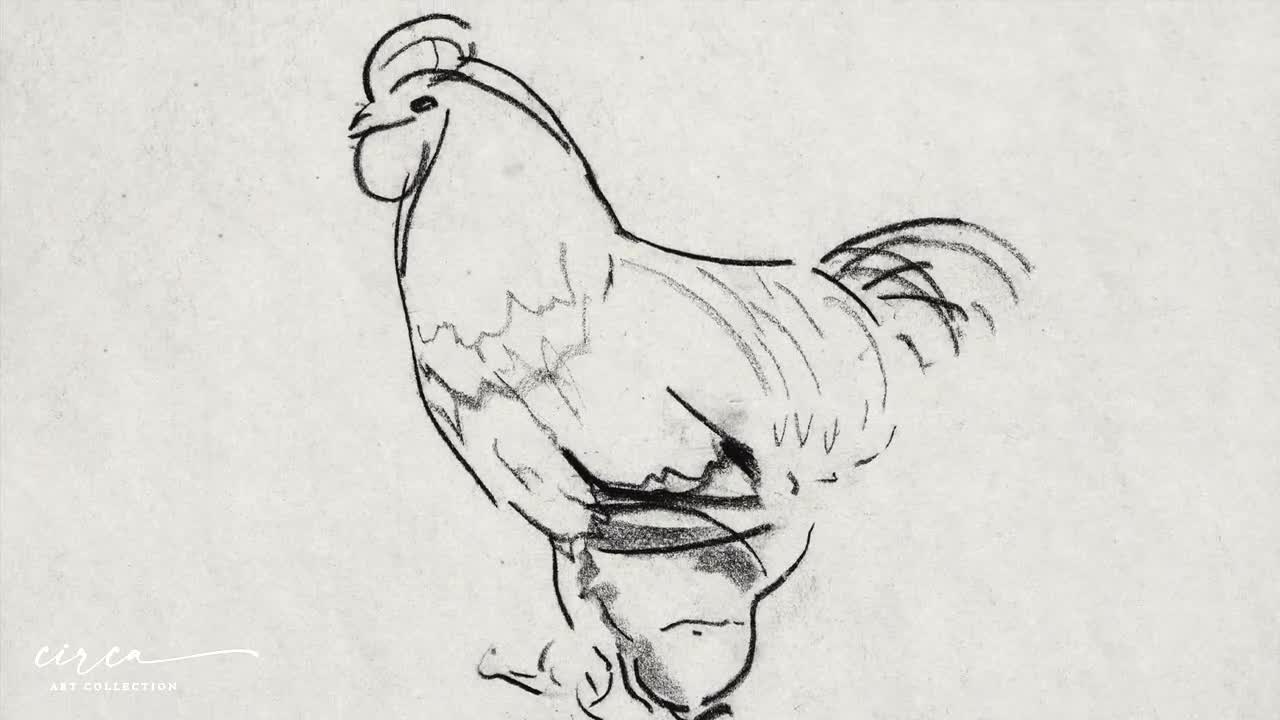 Rooster Sketch. Chicken Drawing. Farm Po Graphic by yummybuum · Creative  Fabrica