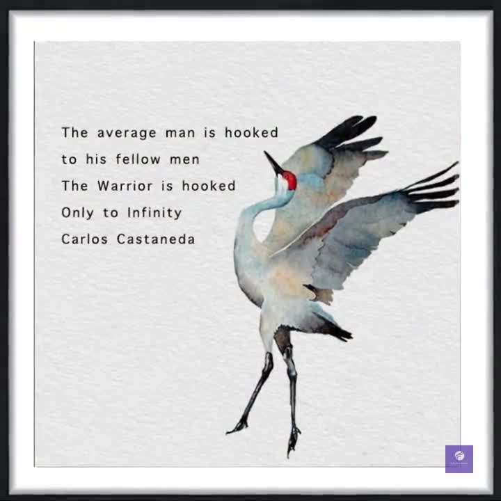 Castaneda Quotes Treating Individuals With Autism Carlos