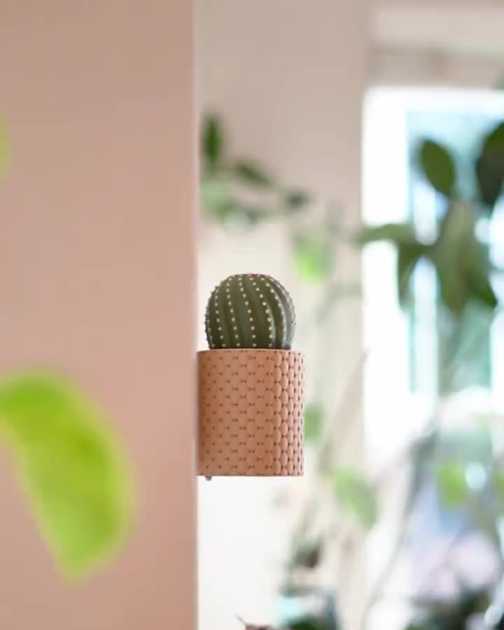 Cactikeys Cactus Key Hook | Blooming Flower Wall Mounted Key