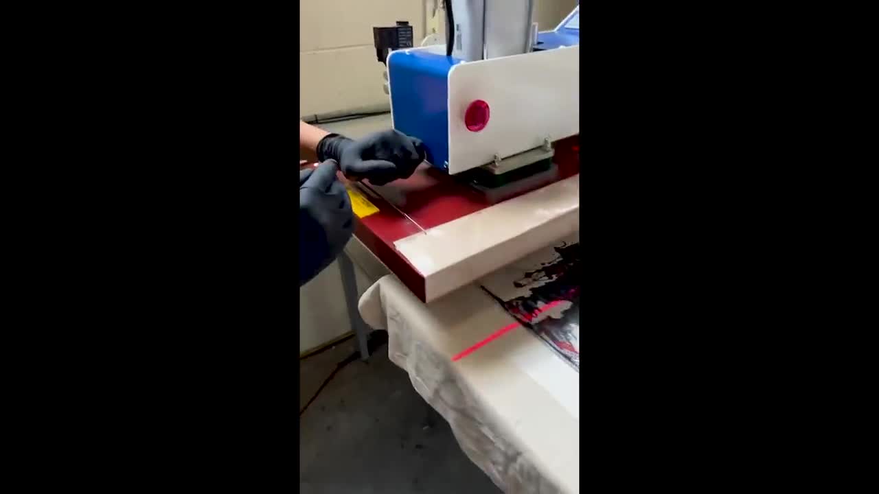 Sudadera de viaje a Disney 2024, camiseta a juego de Disneyworld, camiseta de vacaciones familiares de Disney, sudadera personalizada de viaje a Disney, camiseta de Disneyland 2025 video poster