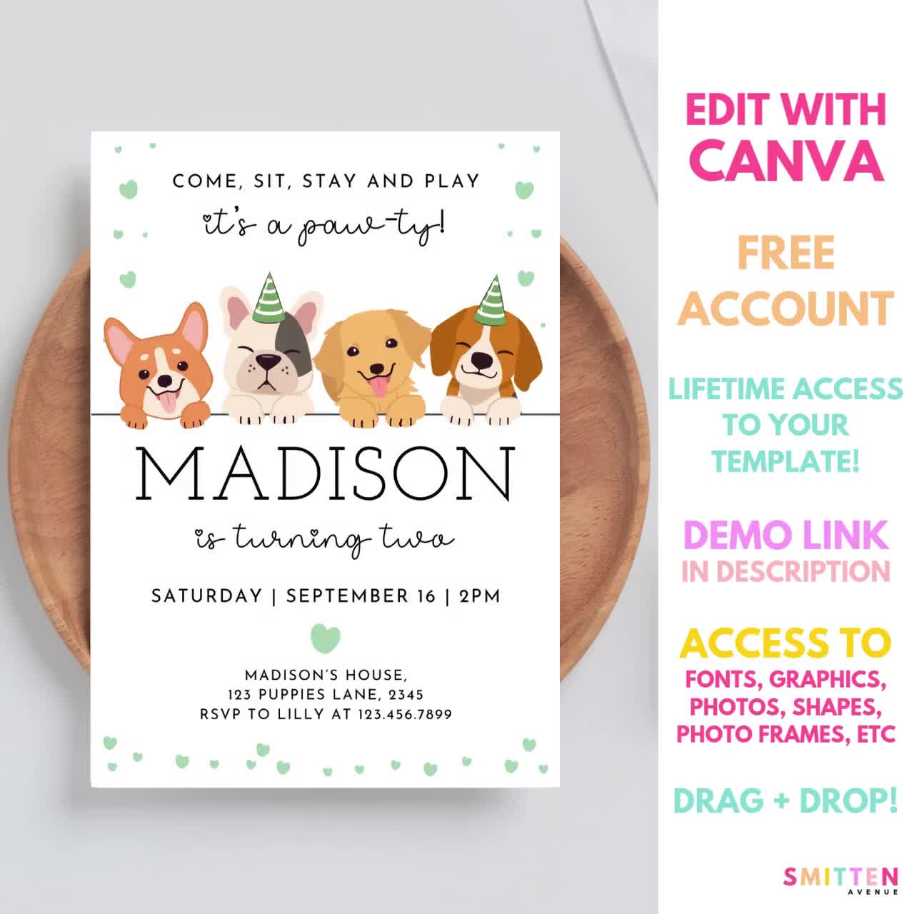 Adopt A Pet Party Favors 10-Pack Pet Adoption Certificates Cute