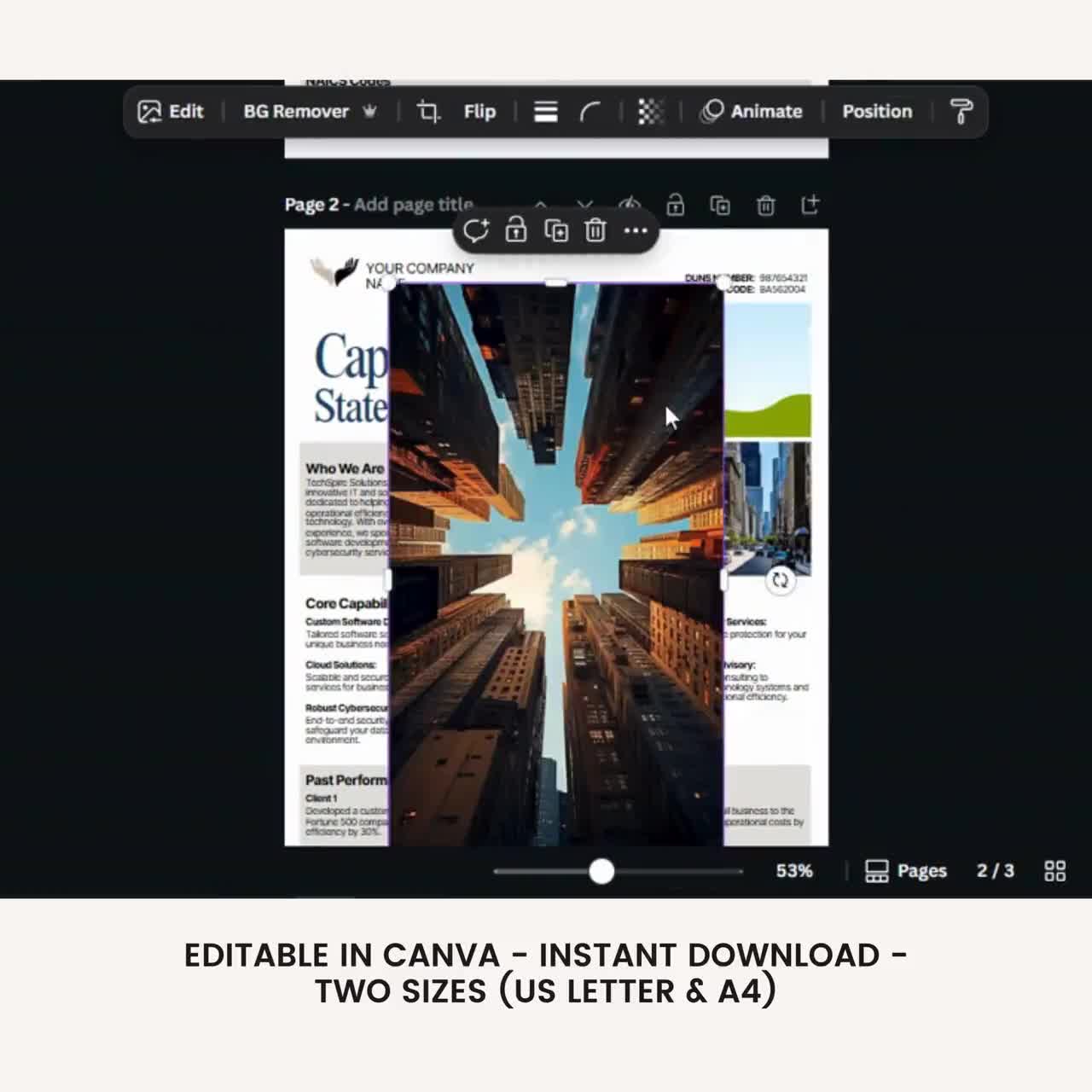 Capability Statement Template, Business Capability Statement Template, Editable Statement, Marketning Business, Corporate Flyer, Canva video poster