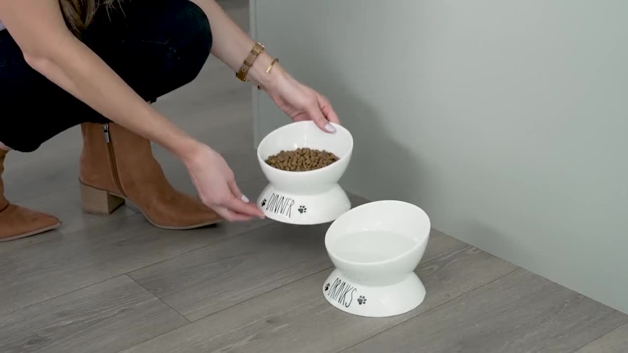 Prefurred Pet Elevated Cat Food Bowl Set (Food & Water Cat Dish) Two Elevated Cat Bowls, Cat Dishes for Food and Water. Porcelai