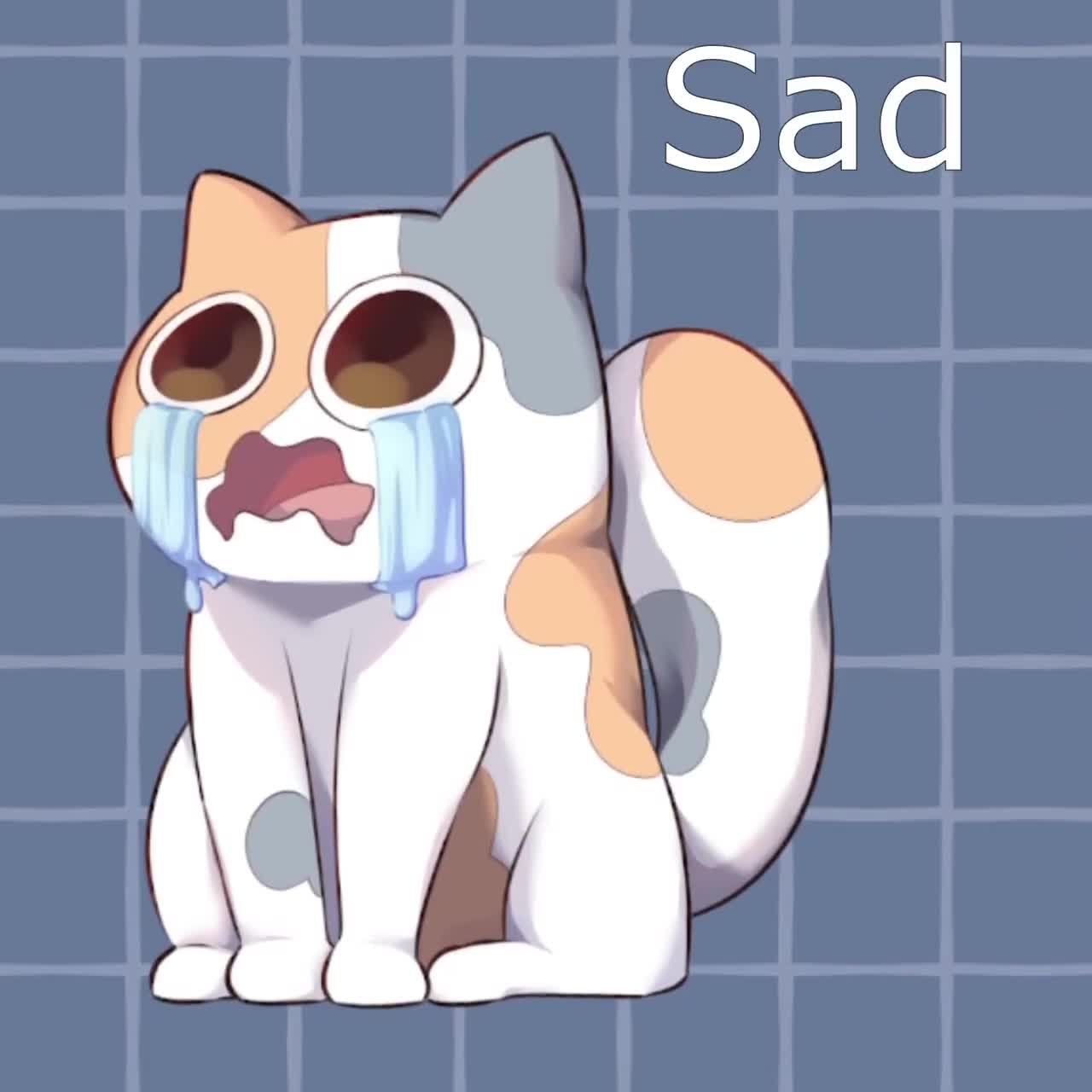 cute cat animation - Animated Discord Pfp