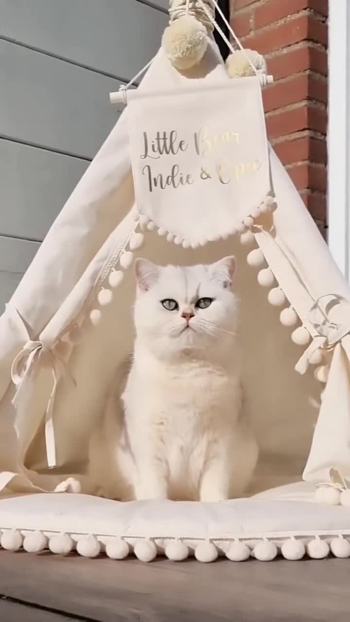 Teepee Halkalife Per Cani E Gatti: La Tenda Morbida Che Diventerà Il Rifugio Preferito Del Tuo Pet