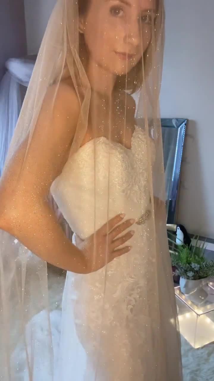 Champagne Walking Veil with Crystal Trim