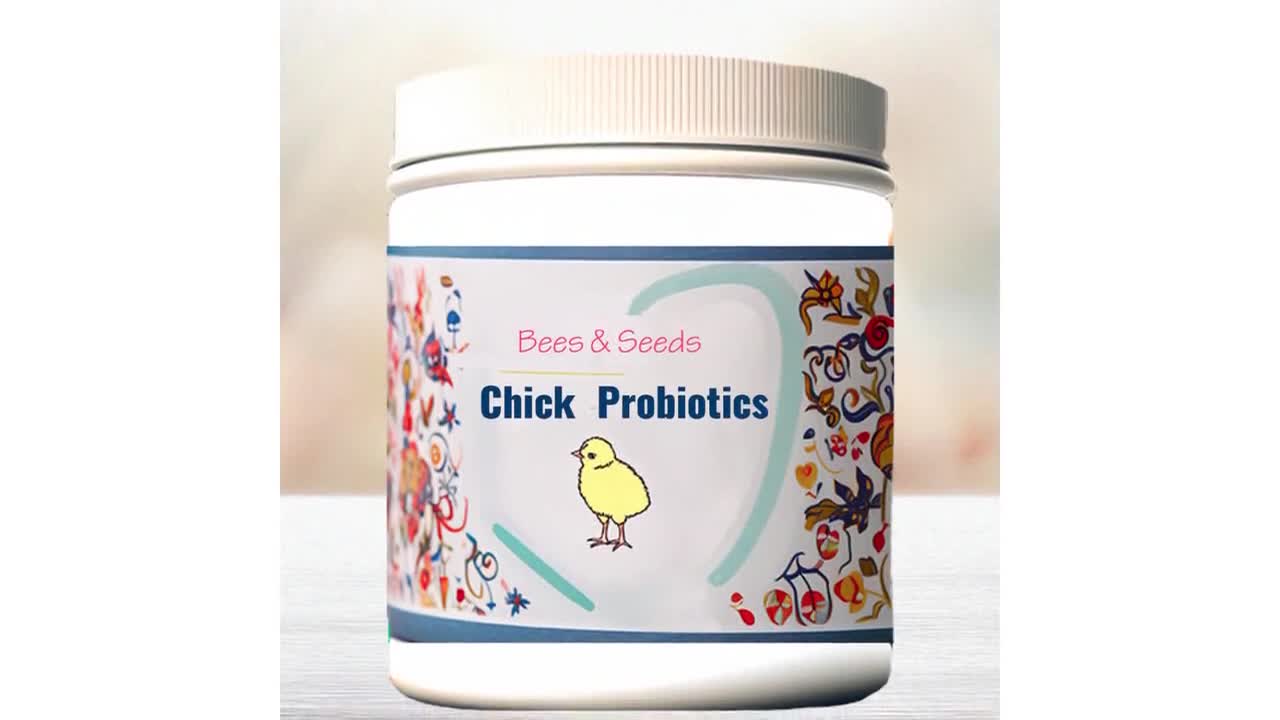 Polvere probiotica per pulcini / Probiotici naturali per pulcini / Supporto digestivo per pollame / Integratore per un gregge sano video poster